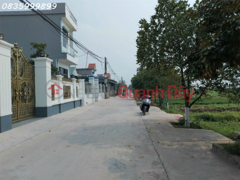 Owner needs to sell beautiful land lot in Chau Phong Phong - Dong Hung - Thai Binh _0