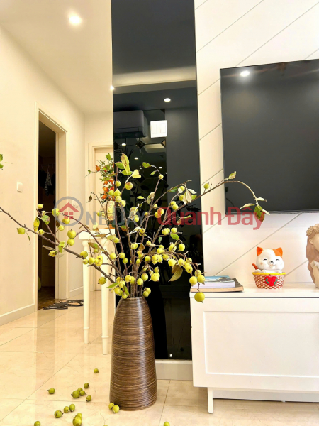 Apartment for rent at Vinhomes D'Capitale, 67m², 2 bedrooms, 2 bathrooms, fully furnished, price 22 million VND. Rental Listings