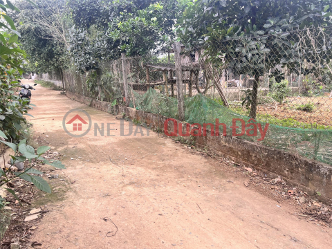 Beautiful Land - Good Price - Owner Needs to Sell Land Lot in Beautiful Location in My Hoa - Tan Lac - Hoa Binh _0