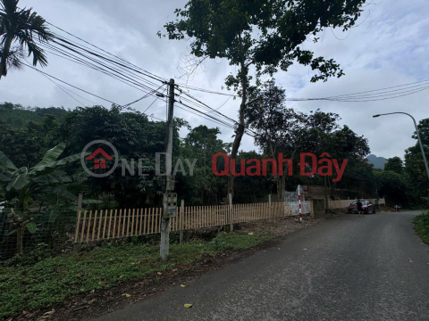 Urgent sale of a 3,100m² plot of land facing National Highway 6 - a prime location in Luong Son, Hoa Binh. _0
