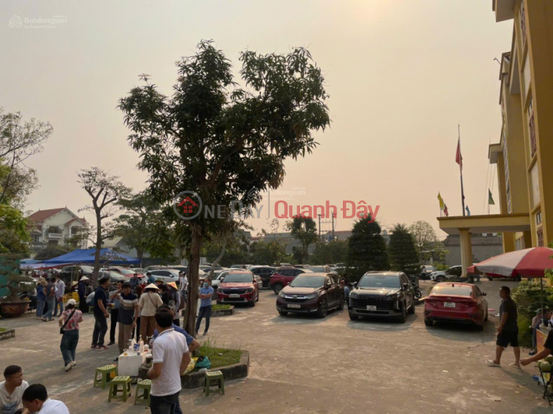 97 PLOTS OF LAND IN TAN HOA QUYNH HOI RESIDENTIAL AREA - PRICES STARTING FROM ONLY 1.2XX BILLION VND - Contact me: 0332 919 293 | Vietnam, Sales đ 1.27 Billion