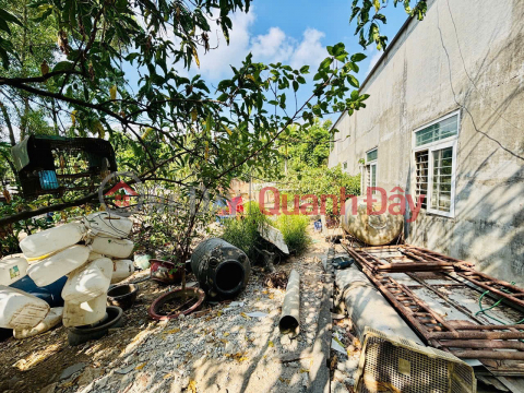 PRIME LAND - GREAT PRICE - OWNER NEEDS TO SELL QUICKLY A POTENTIAL PLOT OF LAND IN HOC MON DISTRICT, HO CHI MINH CITY _0