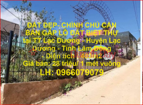 ĐẤT ĐẸP- CHÍNH CHỦ CẦN BÁN GẤP LÔ ĐẤT BIỆT THỰ tại TT Lạc Dương - Huyện Lạc Dương - Tỉnh Lâm Đồng _0