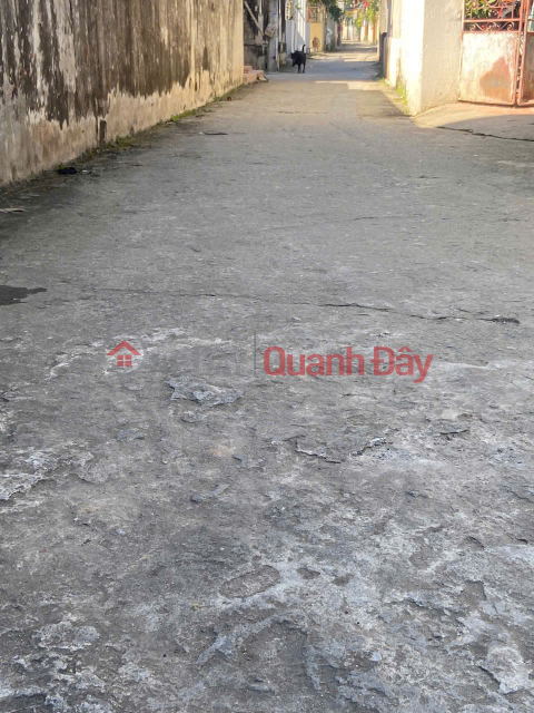 Bán đất thôn Yên Nhân, Tiền Phong, Mê Linh. Lô góc, 3 bước chân tới đường quốc lộ 23 _0