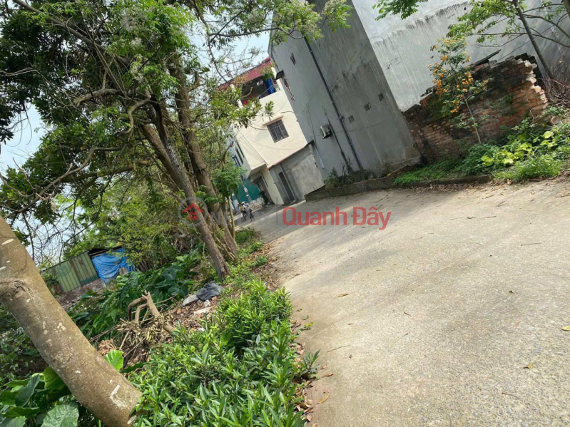 Property Search Vietnam | OneDay | Residential Sales Listings | LAND FOR SALE 89M2 ON THE BACKGROUND OF LUONG QUY XUAN NON DONG ANH - CAR-ABDUCTIVE ROAD