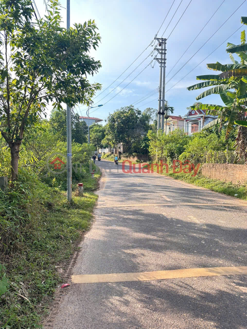 Owner sells 2 beautiful plots of land - Residential land and land for perennial crops _0