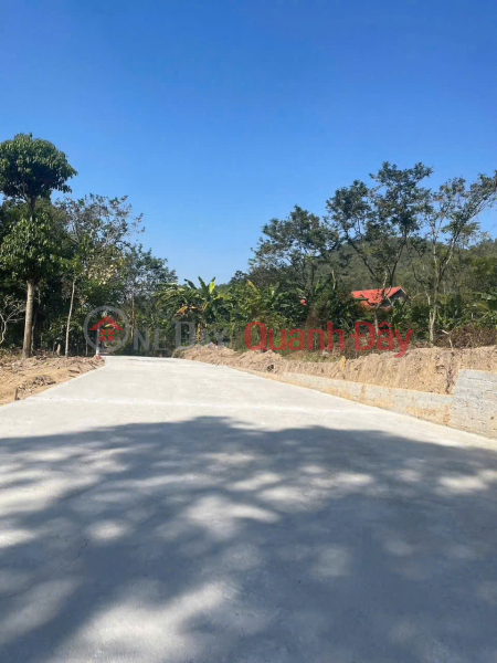 Property Search Vietnam | OneDay | Nhà ở Niêm yết bán, Chính chủ cần tiền bán 2 ô F0 tại Ngọc Thụ - Đại Đình, Tam Đảo - Cơ hội x2 năm 2026 sắp đến