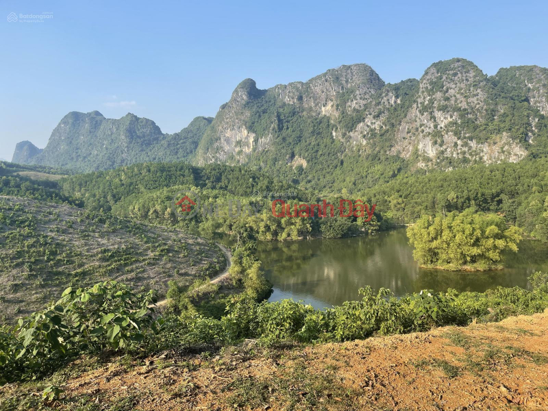 The owner sold 3.1 hectares 200 meters away from the lake in Sao Bay, Kim Boi. Sales Listings