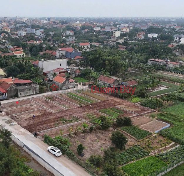 LAND OWNED BY THE SELLER - INVESTMENT PRICE, QUICK SALE OF CORNER PLOT WITH 2 FRONTAGES in Hai Hau District, Nam Dinh Province Vietnam | Sales | đ 900 Million