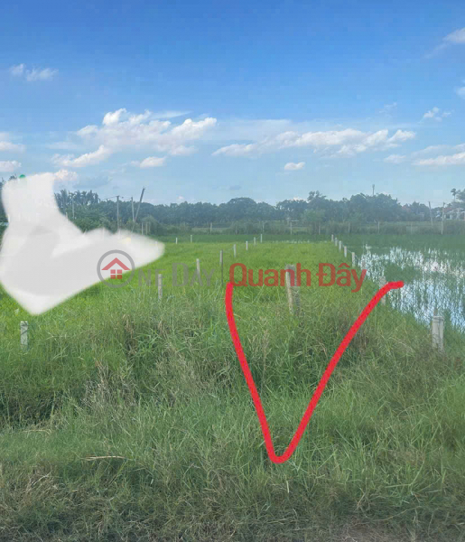 Owner Sells 177.1m2 of Concrete Front Land at Phap Tuyen Pagoda, Duc Hoa Thuong, Duc Hoa District, Long An Sales Listings