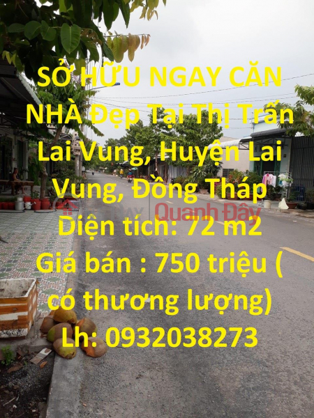 OWN A BEAUTIFUL HOUSE IMMEDIATELY In Lai Vung Town, Lai Vung District, Dong Thap Sales Listings