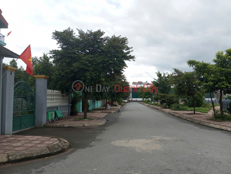 Land for sale in Tra Lam, Thuan Thanh. 75m2 * Corner lot, car road Sales Listings