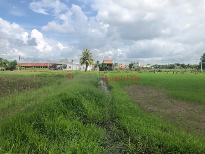 Property Search Vietnam | OneDay | Residential Sales Listings, 1 Ha Square Land SHR HXH – Duc Hoa Thuong Long An S