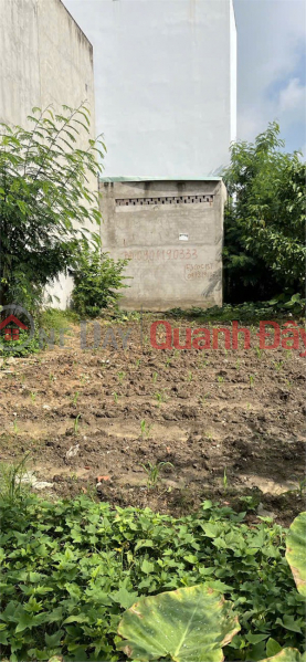 Property Search Vietnam | OneDay | Nhà ở | Niêm yết bán, Đất đẹp- đầu tư là sinh lời Chính chủ cần bán nhanh lô đất tiềm năng tại quận 9, TPHCM