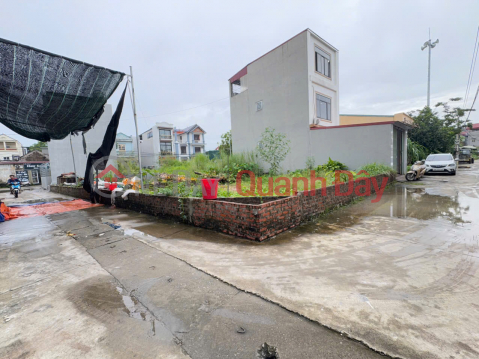 Urgent Sale of Unique Corner Lot with 2 Street Frontages - Good Price in Ap Tre Village, Quang Minh, Hanoi _0