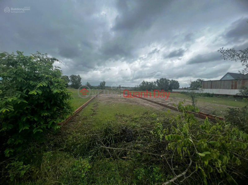 Property Search Vietnam | OneDay | Residential | Sales Listings OWNER REDUCES PRICE, URGENT SALE OF LAND WITH 10M FRONTAGE ON Luc Vien ASPHALT ROAD, MY HANH BAC AREA, PRICE ONLY 4.2 BILLION VND