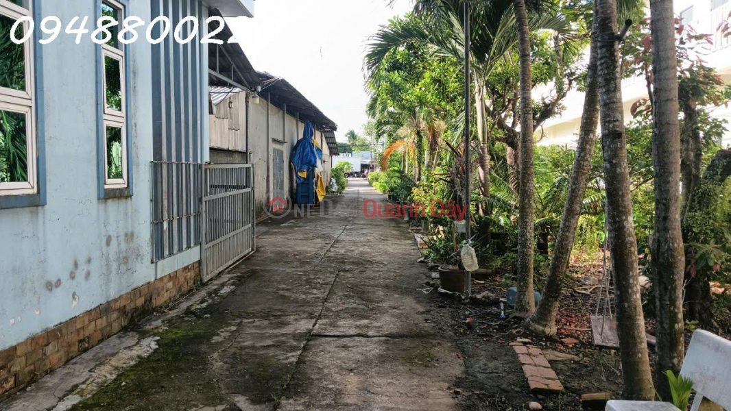 Property Search Vietnam | OneDay | Office / Commercial Property Rental Listings Warehouse\\/factory space for rent at 56 National Highway 63, Minh Luong Town, Chau Thanh Commune, An Giang Province.
