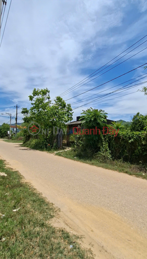LAND FOR SALE 1200M2. PHUOC MY MAIN AXIS. SUITABLE FOR BUILDING A GARDEN HOUSE OR RESORT. NEAR QUY NHON CITY CENTER _0