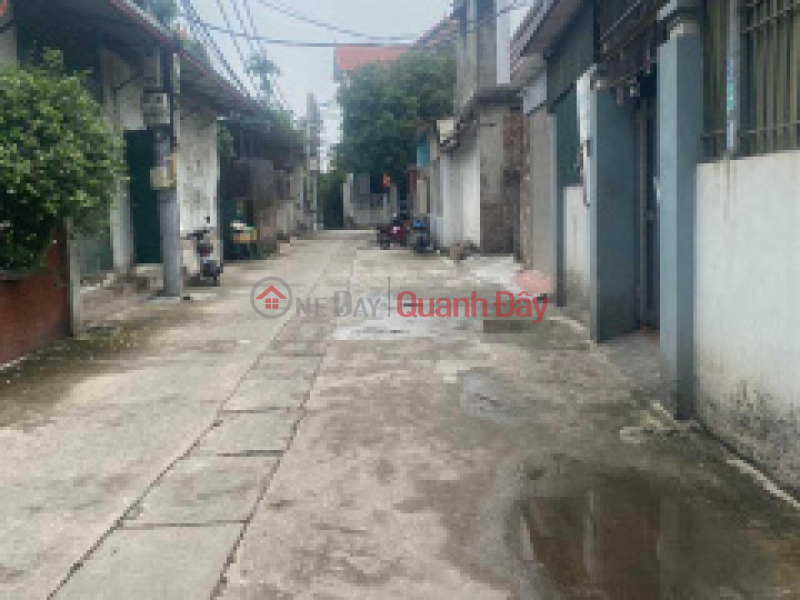 Selling land with red book owner in Dai Lan, Duyen Ha, Thanh Tri. | Vietnam | Sales đ 980 Million