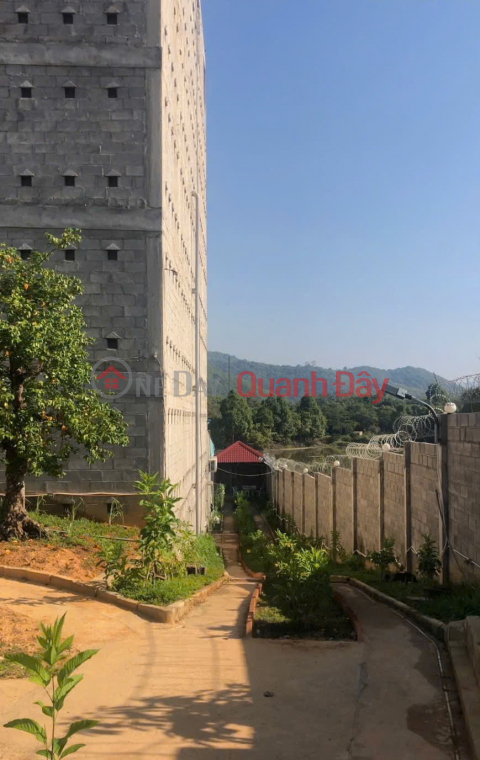 Bán Nhà Đất Chính Chủ Có Sẵn Nhà Yến Diện Tích 1249m² Tại Nam Cát Tiên, Tân Phú, Đồng Nai _0