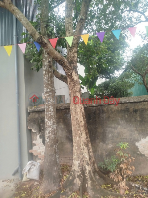 ĐẤT ĐẸP - GIÁ TỐT CHÍNH CHỦ CẦN BÁN ĐẤT THỔ CƯ -xã PHỤNG CHÂU, CHƯƠNG MỸ, HÀ NỘI _0