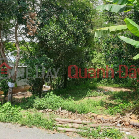 BEAUTIFUL LAND - CASH - For Sale Quickly In Vinh Truong Commune, An Phu, An Giang. _0