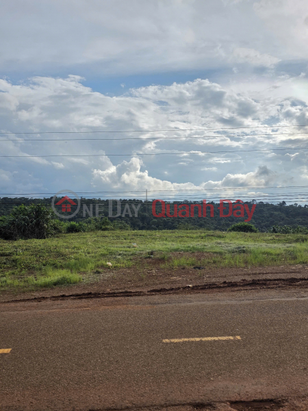 Property Search Vietnam | OneDay | Nhà ở Niêm yết bán Chính chủ bán đất gần 2.000m2 mặt tiền Quốc lộ 28 - 2 bên có đường, sau giáp rừng thông