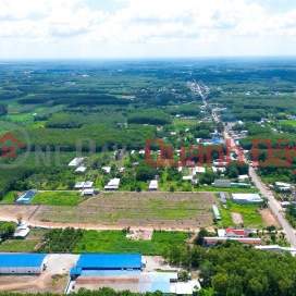 QUICKLY Own A LOT OF LAND BEAUTIFUL LOCATION - Special Price At BAU BANG CENTRAL LAND PROJECT _0