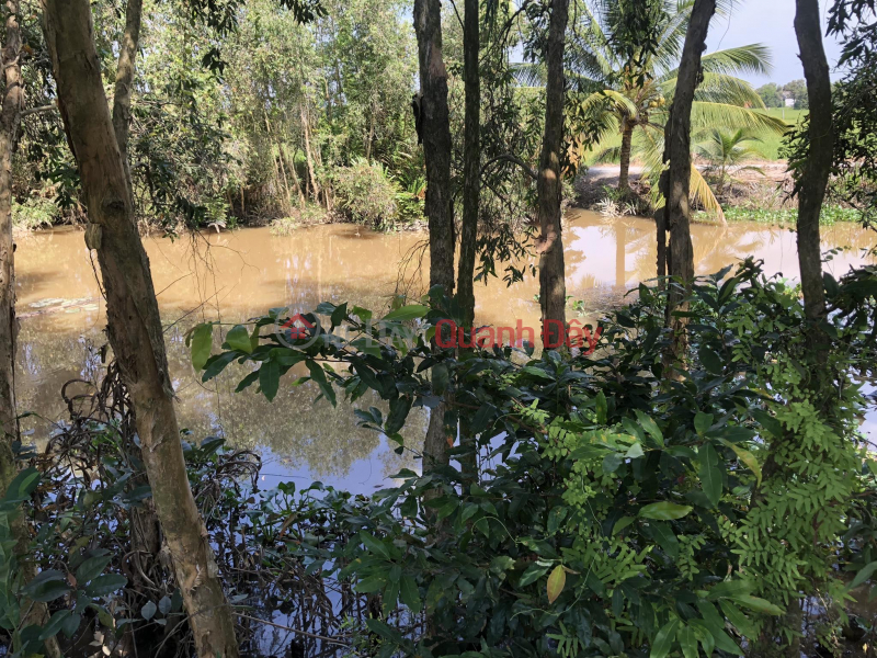 Property Search Vietnam | OneDay | Residential, Sales Listings Beautiful Land - Good Price - Owner Needs to Sell Land Lot in Beautiful Location in My Lac Commune, Thu Thua District,