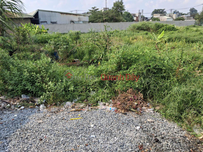 Land HXT 155m2, Corner lot - Bui Cong Trung HM, Vietnam | Sales | đ 3.7 Billion