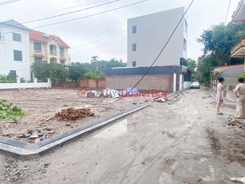 BÁN ĐẤT 48M2 THỐ BẢO VÂN NỘI ĐÔNG ANH (PHÚC THỊNH MỚI) - LÔ GÓC SÁT ĐƯỜNG VÕ NGUYÊN GIÁP, Việt Nam Bán đ 4,22 tỷ