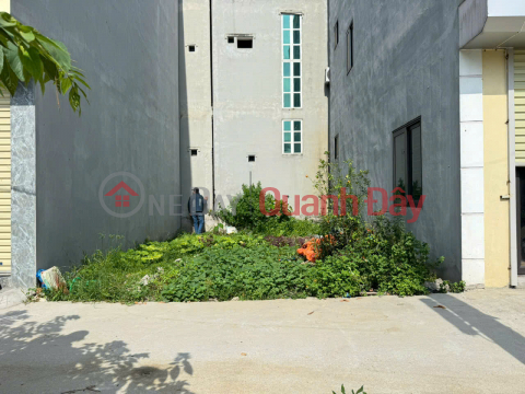 Beautiful land in group 9, Quang Minh town, Me Linh, near Tue Tinh Medical College and Industrial Park _0