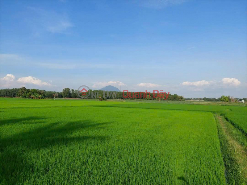 Owner Needs to Sell a Land Lot in a Prime Location in Thanh Dien, Chau Thanh, Tay Ninh - EXTREMELY PREFERENTIAL PRICE Vietnam | Sales đ 2.2 Billion