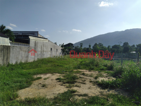 Owner Needs to Urgently Sell Land Plot, Nice Location, Bau Gia Lo Street, Xuan Truong Commune, Xuan Loc District, Dong Nai _0