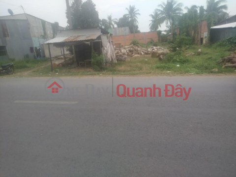 BEAUTIFUL LAND - GOOD PRICE - Owner Needs to Sell Land Plot Quickly in Quoc Thai, An Phu, An Giang _0