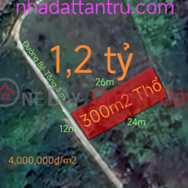 Sell land lot in Binh Tinh to build garden villa for 1.2 billion _0