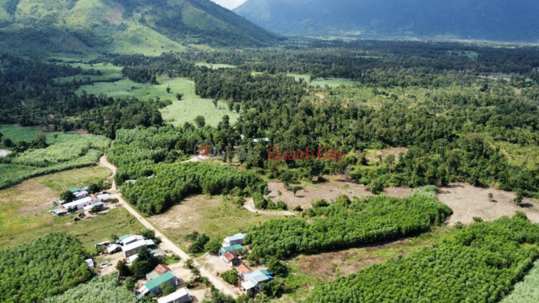 BEAUTIFUL LAND - GOOD PRICE – ORIGINAL NEED TO SELL Plot Land In Ninh Hoa Town - Khanh Hoa Province, Vietnam Sales | đ 720 Million