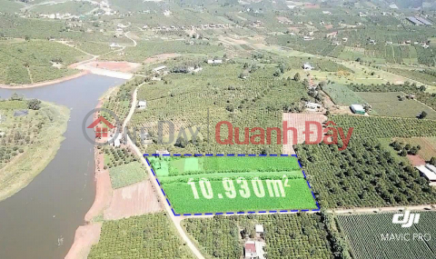 Giảm mạnh 1 tỷ! 1.1Ha Đất Lô góc, Đường 12m – Xã Phúc Thọ LĐ _0