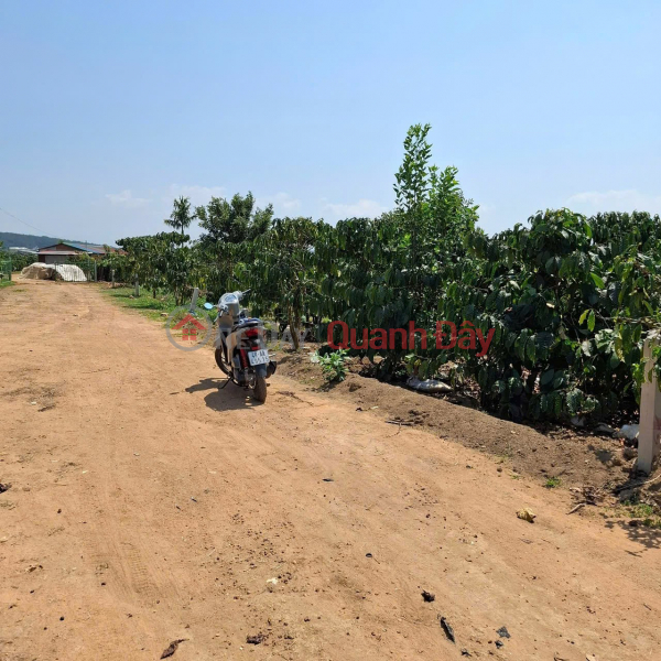PRIME LOCATION – GOOD PRICE – OWNER SELLING HOUSE Phuc Hop Village, Phuc Tho Commune, Lam Ha District, Lam Dong Province Sales Listings