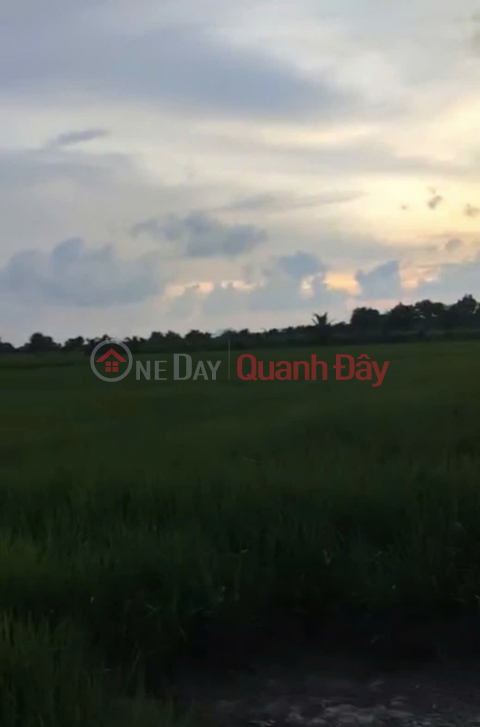 BEAUTIFUL LAND - GOOD PRICE - OWNER FOR SALE At Canal TD6, Song Chinh Hamlet, Kien Luong Commune, Kien Giang _0