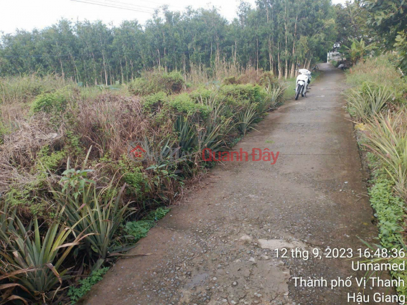 Property Search Vietnam | OneDay | Residential | Sales Listings The owner needs to sell land in Hau Giang City for only 220 million