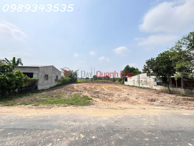 Owner selling a plot of land with frontage on a paved road in Hau Nghia Town, Duc Hoa District, Long An Province. Sales Listings