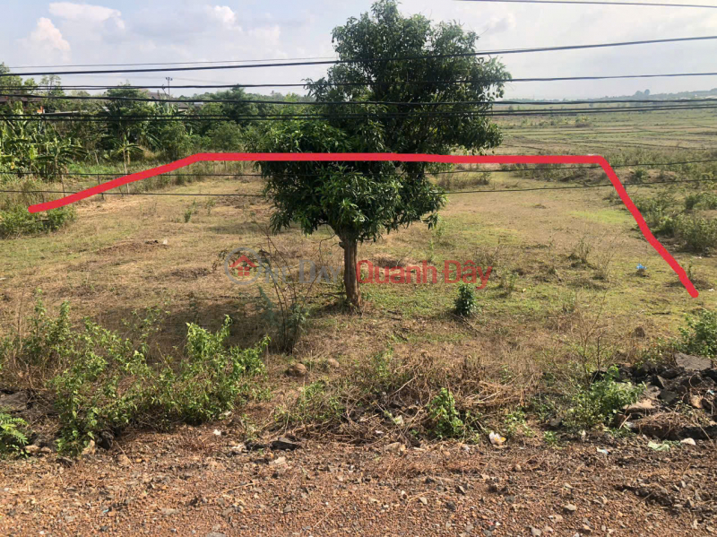 Property Search Vietnam | OneDay | Nhà ở | Niêm yết bán Đất 400 m2 thổ cư, 17m Mặt tiền Tỉnh lộ 1 - Huyện Buôn Đôn - Đăk Lăk, giá chỉ 170 tr/m