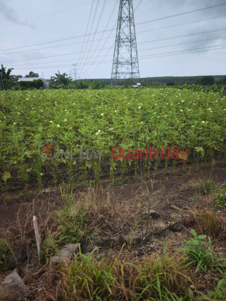 Property Search Vietnam | OneDay | Residential Sales Listings PRIME LAND – GOOD PRICE – OWNER SELLING AT Parallel Road to National Highway 20, Gia Tan 2 Commune, Thong Nhat District, Dong Nai Province