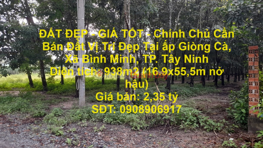 BEAUTIFUL LAND - GOOD PRICE - Owner Needs to Sell Land in Nice Location in Giong Ca Hamlet, Binh Minh Commune, City. Tay Ninh Sales Listings