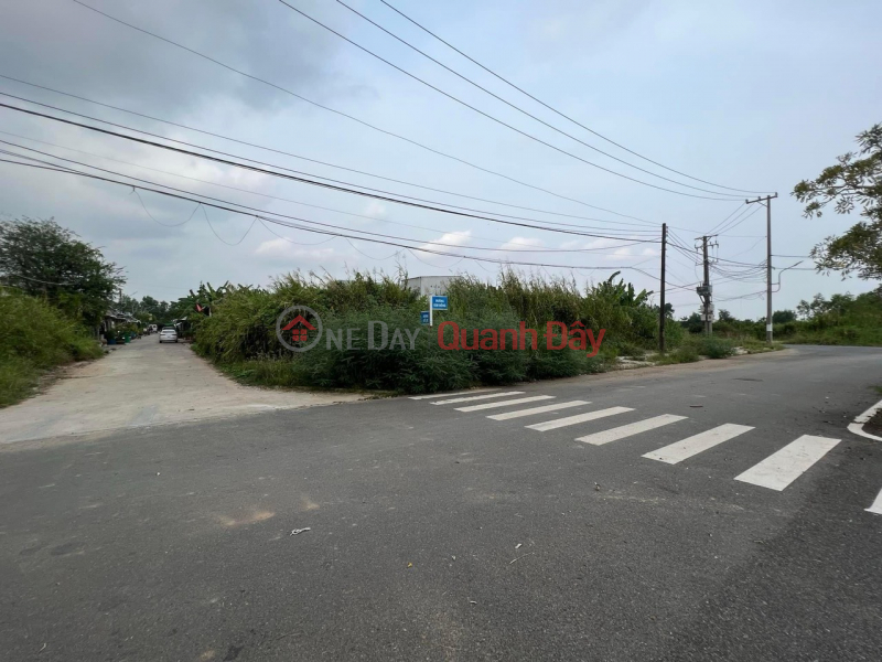 Extremely Hot !!! Owner Needs To Quickly Sell 3 plots of land with 2 frontages on Street No. 3, Ly Van Lam Commune, Ca Mau, Ca Mau, Vietnam Sales | đ 2.65 Billion