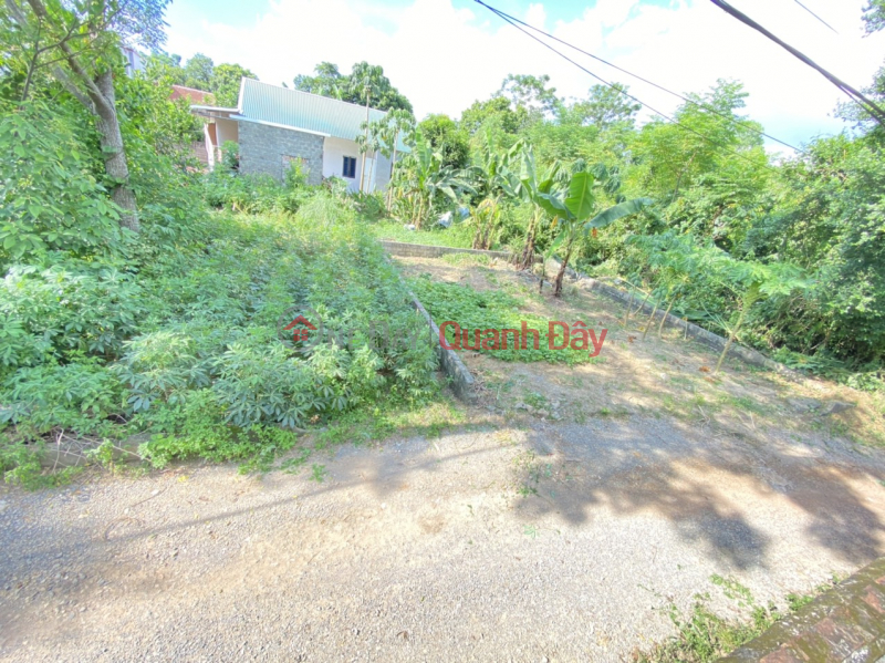 Property Search Vietnam | OneDay | Residential, Sales Listings | OWNER SELLING 79.8M LOT OF LAND AT DONG SON-CHUONG MY