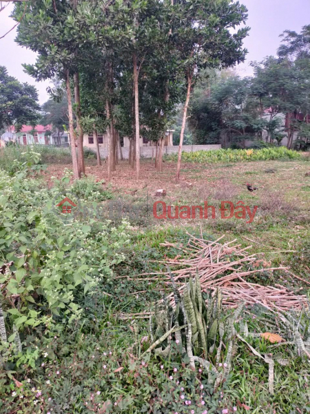 Property Search Vietnam | OneDay | Residential, Sales Listings | BEAUTIFUL LAND - GOOD PRICE - Owner Needs to Sell Land Lot in Ngoc Lac Town, Thanh Hoa Province