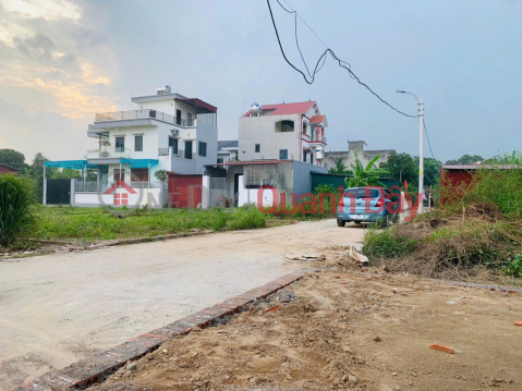 Beautiful land in Quang Minh, Me Linh. Near Tue Tinh Medical and Pharmaceutical College and industrial park. _0