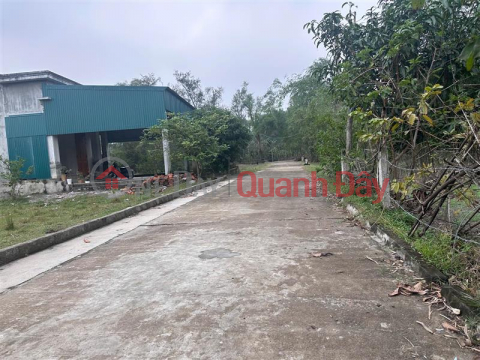 Bán đất Tú Loan 3, Quảng Hưng, Quảng Trạch, Quảng Bình. _0